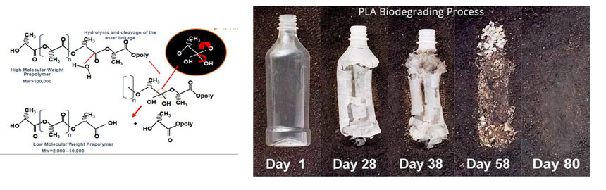 Proses biodegradasi PLA