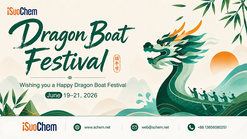 dragon-festival-schem