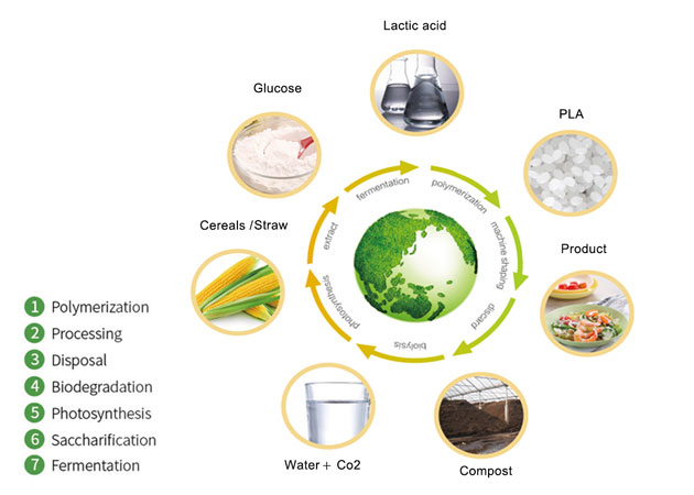 Bahan kemasan makanan Bio-Degradable - resin pelet PLA telah menjadi kesayangan baru industri pengemasan makanan
